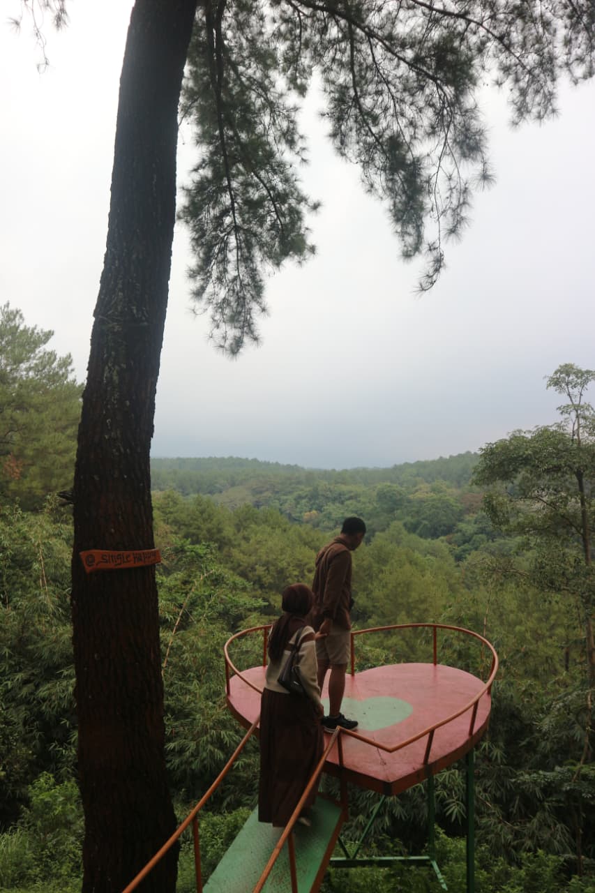 WhatsApp Image 2025-12-23 at 12.38.45