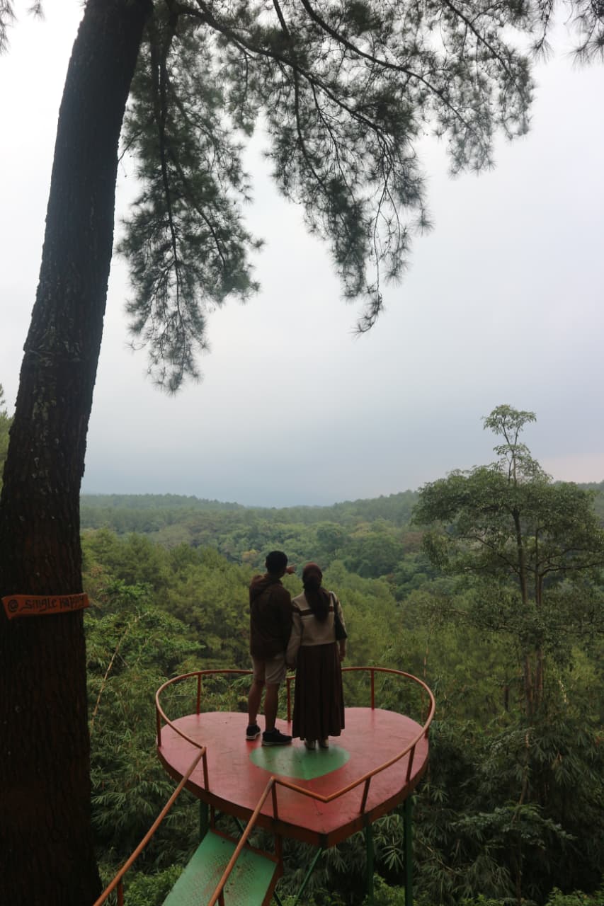 WhatsApp Image 2025-12-23 at 12.38.46